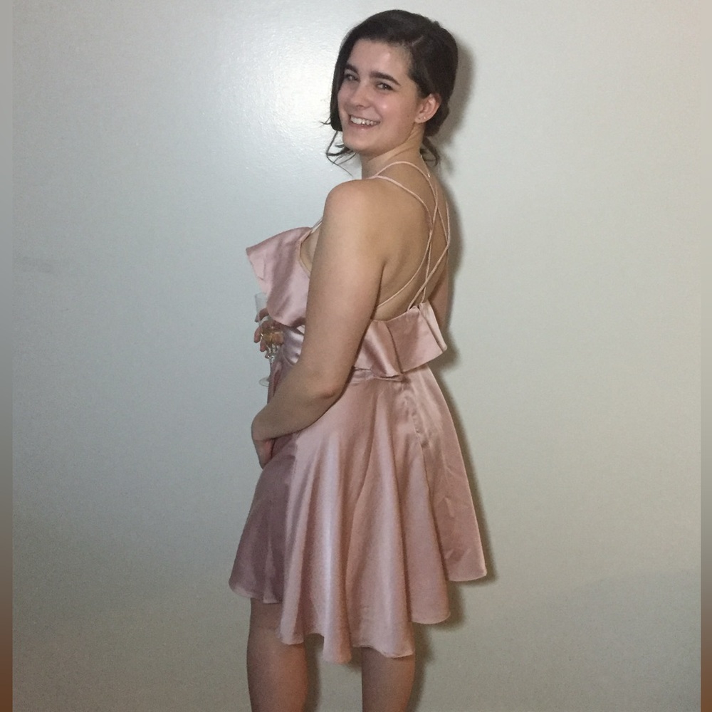 Pink Minuet Dress Size Large